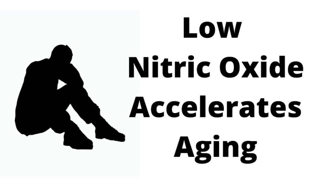 Low Nitric Oxide Accelerates Aging